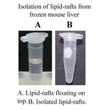 Minute™ Total Lipid Raft Isolation Kit for Mammalian Cells/Tissues