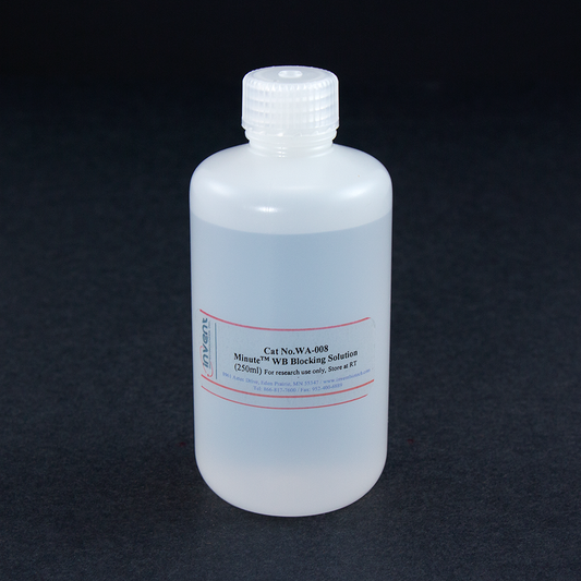 Minute™ WB Blocking Solution (250 ml)