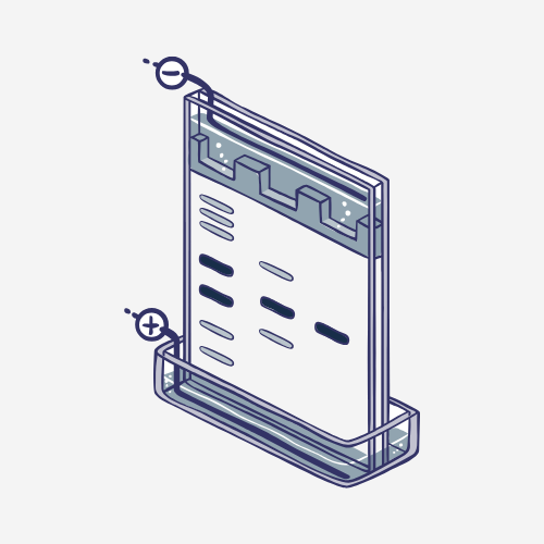 Rapid Protein Extraction Kits