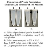 Minute™ Native Protein Precipitation Kit from Saliva (20 preps)