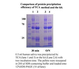 Minute™ Native Protein Precipitation Kit from Saliva (20 preps)