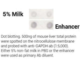 Minute™ Antibody Enhancer (30 ml)