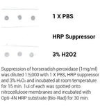 Minute™ Peroxidase Suppressor (30 ml)