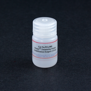 Minute™ Denaturing Protein Solubilization Reagent (10 ml)