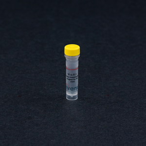 Minute™ Protein Solubilization Reagent for MS (2 ml)